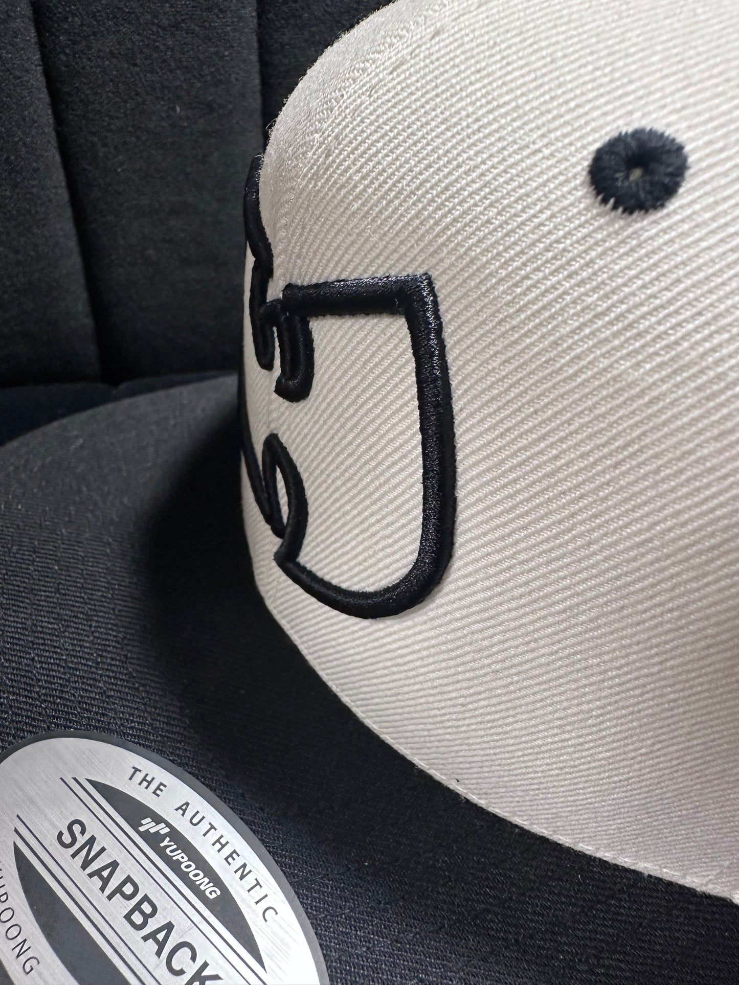The “W” Embroidered SnapBack